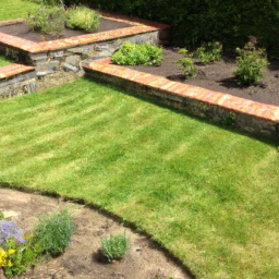 Gazon de Jardin : découvrez les différentes variétés de gazon pour choisir celle qui convient le mieux à votre jardin Champigny-sur-Marne